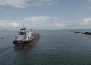 Appian exporta mais de 50 mil toneladas de níquel sulfetado no primeiro semestre