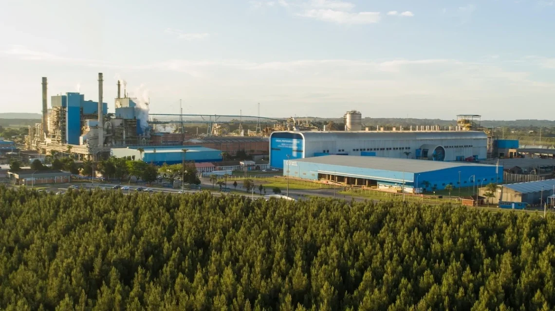 Fábrica de Três Barras (SC) da Smurfit Westrock