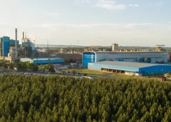 Smurfit Westrock fortalece operação e impacto sustentável no Brasil