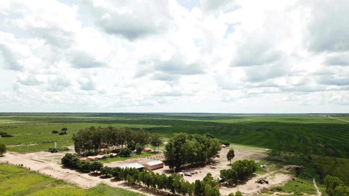Fazenda Preferência, em Baianópolis, Bahia
Divulgação BrasilAgro