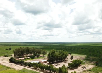 BrasilAgro vende Fazenda Preferência, na Bahia, por R$ 141,4 milhões