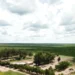 BrasilAgro vende Fazenda Preferência, na Bahia, por R$ 141,4 milhões