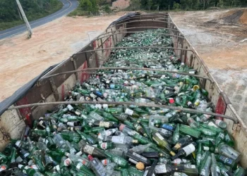 Programa de reciclagem já recuperou quase 500 toneladas de vidro em Trancoso