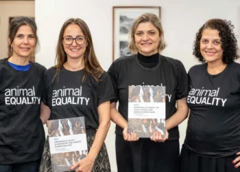 Eurodeputada se reúne com organização internacional no Brasil para discutir sobre o acordo da Mercosul