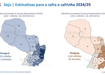 Paraguai deve produzir 9,93 mi t de soja e 5,25 mi t de milho na safra 2024/25