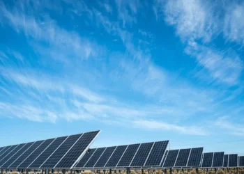 Rede de mais de 500 parceiros ativos gera R$ 3 milhões mensais em comissões no setor de energia solar