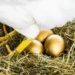 O DILEMA DA GALINHA DOS OVOS DE OURO E A PRESSÃO DO CURTO PRAZO