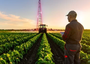 Deutsche Telekom e FazMais firmam parceria para impulsionar a conectividade no agro