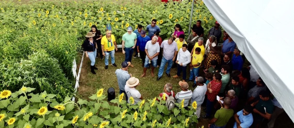 Fazenda Sol Nascente/Divulgação