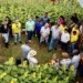 Fazenda Sol Nascente impulsiona inclusão social e diversidade agrícola no Maranhão e Piauí