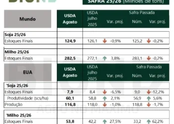 Safra recorde nos EUA pressiona milho em Chicago, enquanto cortes do USDA sustentam a soja