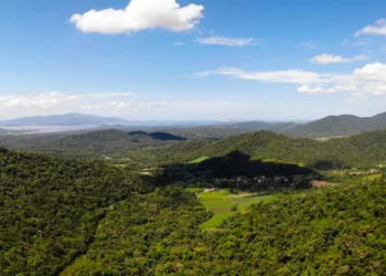 Nova plataforma revoluciona acesso a dados de monitoramento de fauna na Serra do Mar