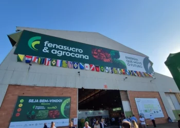 Cana-de-açúcar corresponde a 16,9% da oferta de bioenergia no Brasil