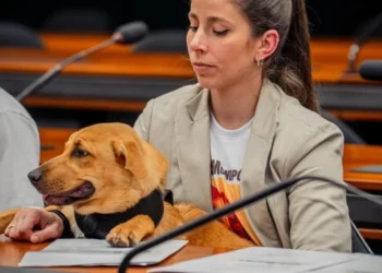 Instituto Caramelo leva faixa e vira-lata Maria para se manifestar contra fusão entre Petz e Cobasi