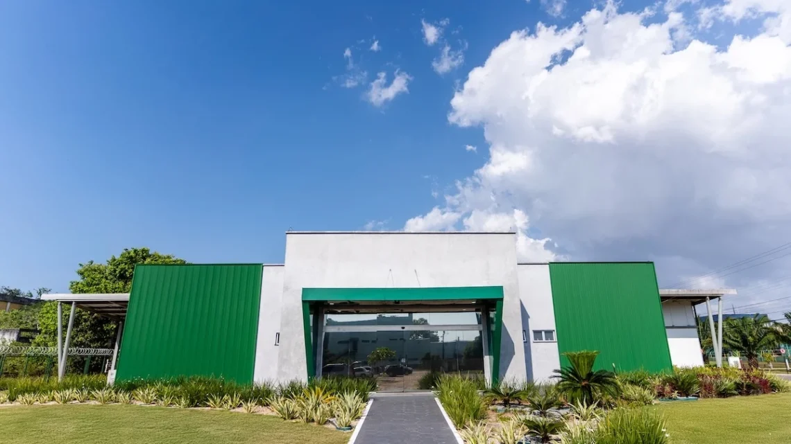 Laboratório de mudas clonas da Agropalma, em Belém (PA).
Divulgação (Agropalma)