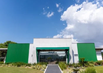 Agropalma quer triplicar a produção anual de mudas clonais em menos de 10 anos