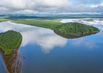 Programa Biodiversidade destina mais de R$ 1,2 milhão para Unidades de Conservação