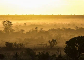 OMM alerta para possíveis impactos do La Niña a partir de setembro