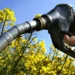 Biodiesel deve receber R$ 5,9 bilhões em investimentos no Brasil até 2026