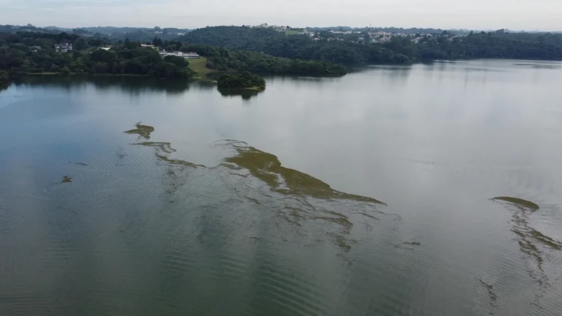 ICMS Ecológico: Estado repassa milhões a cidades com áreas protegidas
Foto: Denis Ferreira Netto/SEDEST-PR