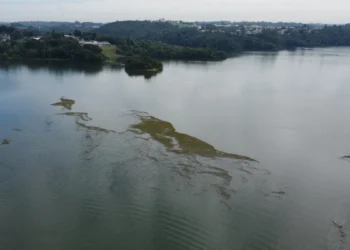 ICMS Ecológico destinou mais de R$ 20 milhões ao litoral do Paraná em 2025