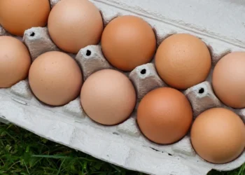 Rio Bravo estrutura FIDC exclusivo para o setor agrícola