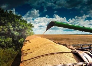Argentina zera impostos de exportação sobre grãos e derivados