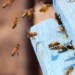 Colmeia Viva App conecta agricultores e apicultores para proteger as abelhas