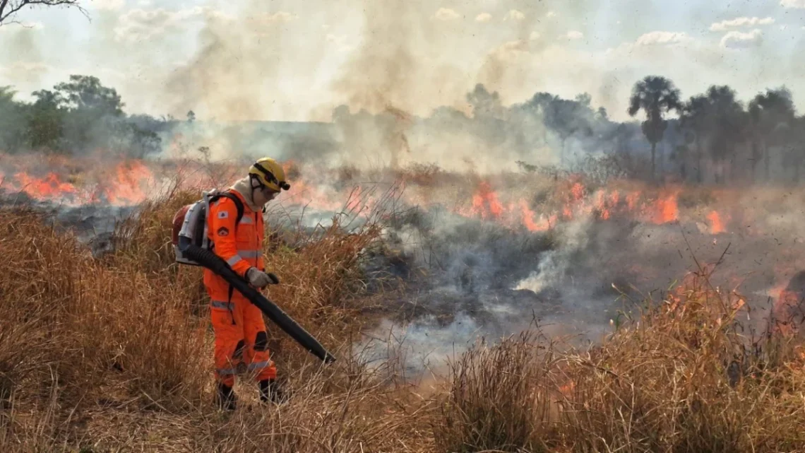 Corpo de Bombeiros Militar de Minas Gerais