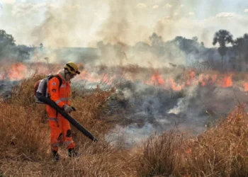 Minas Gerais registra histórico de 10 milhões de hectares queimados em 40 anos 