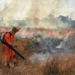 Minas Gerais registra histórico de 10 milhões de hectares queimados em 40 anos