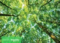 WEF destaca unidade da Schneider Electric em Evreux como referência em sustentabilidade