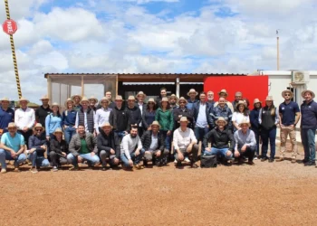 Indústria aposta em qualidade do trigo gaúcho para a safra 2025