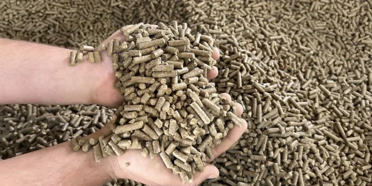 Empresa inova ao utilizar borra de café como matéria-prima para produção de biomassa