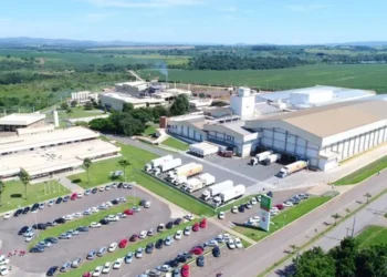 São Salvador Alimentos dobra produção após transformação digital