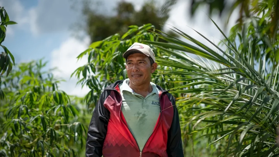 Senhor Nonato, agricultor familiar da vila de Jutaí
Divulgação (Agropalma)