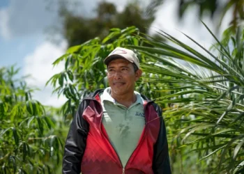 Agropalma impulsiona agricultura familiar e gera possibilidades de um futuro no campo