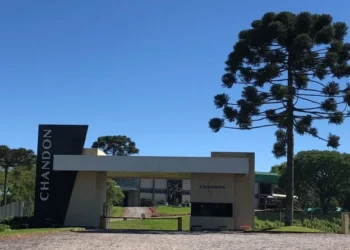 Chandon Brasil apresenta programa de sustentabilidade e biodiversidade