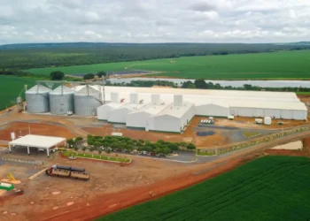 Boa Safra tem lucro 26% maior no terceiro trimestre