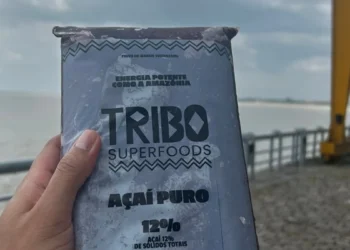 Festival de startups retrata inovações da bioeconomia na COP30