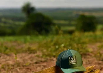 Programa da CJ Selecta será apresentado na COP 30 como modelo de agricultura regenerativa 