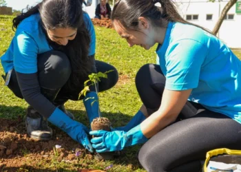 Braskem coleta mais de 6 toneladas de resíduos nas ações globais do WeCare 2025