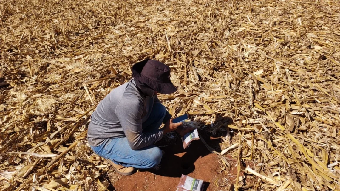 Coleta de solo
/Divulgação