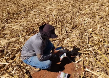 Brasil tem déficit de 8 milhões de análises de solo por ano, indica IBRA megalab