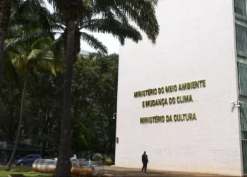 Edital de R$ 70,2 milhões impulsionará Núcleos de Sociobioeconomia na Amazônia