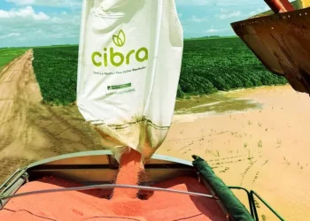 Cibra anuncia FIDC Fiagro no valor de R$150 milhões para ampliar a venda de fertilizantes