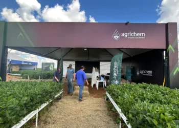 Agrichem aposta em soluções que unem ciência e gestão nutricional