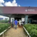 Agrichem aposta em soluções que unem ciência e gestão nutricional