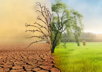 2025: quando o clima deixa de ser estatística e se torna decisão de liderança