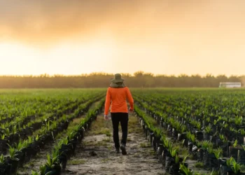Agropalma apresenta ações de rastreabilidade e segurança no mercado de palma